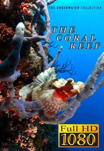 coral